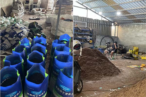 有毒營養(yǎng)土生產(chǎn)